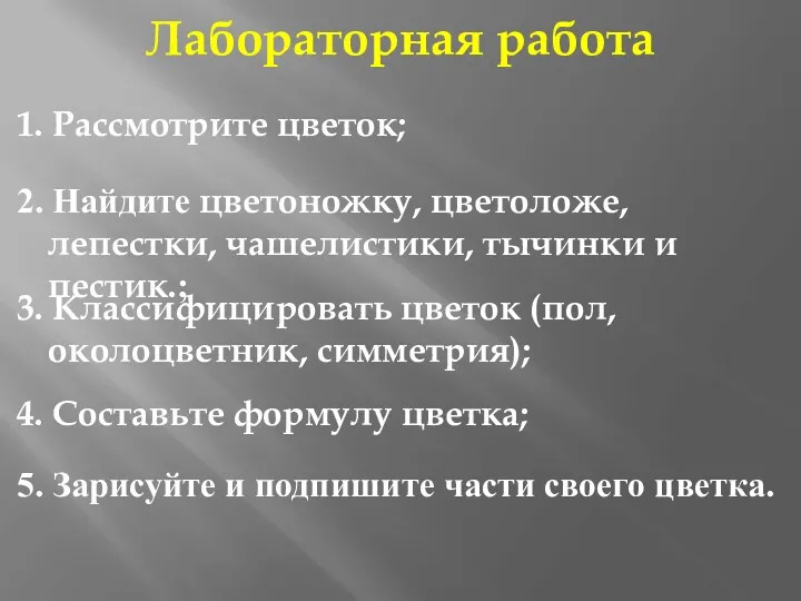 4. Составьте формулу цветка; Лабораторная работа 1. Рассмотрите цветок; 3.