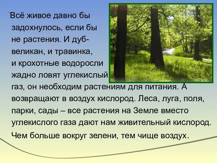 Всё живое давно бы задохнулось, если бы не растения. И дуб- великан, и