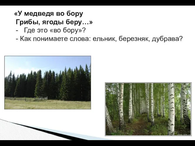 «У медведя во бору Грибы, ягоды беру…» - Где это