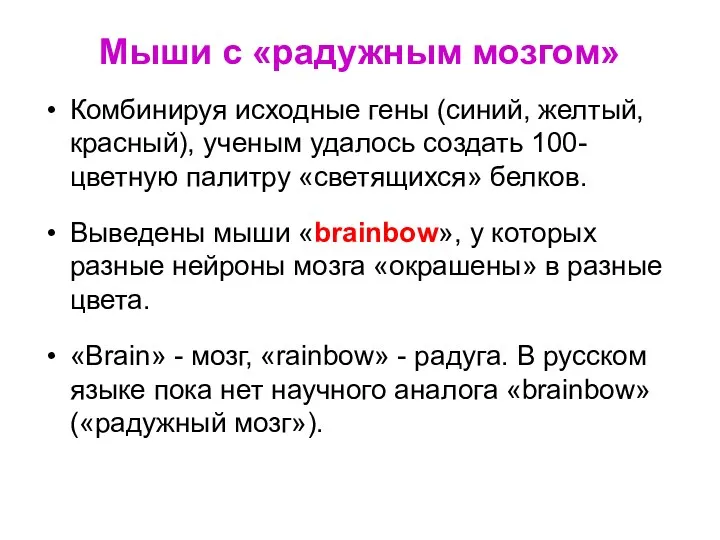 Мыши с «радужным мозгом» Комбинируя исходные гены (синий, желтый, красный),