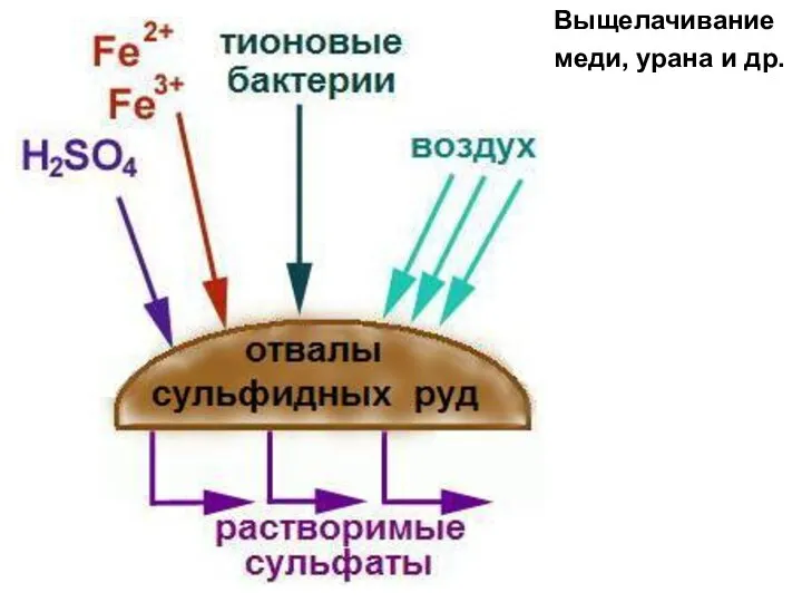 Выщелачивание меди, урана и др.