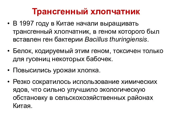 Трансгенный хлопчатник В 1997 году в Китае начали выращивать трансгенный