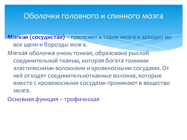 Мягкая (сосудистая) – прилежит к ткани мозга и заходит во