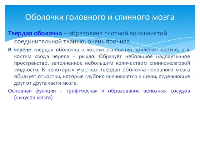 Твердая оболочка – образована плотной волокнистой соединительной тканью, очень прочная.