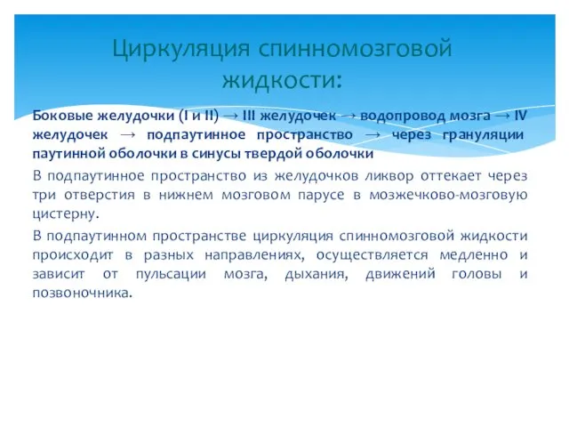 Боковые желудочки (I и II) → III желудочек → водопровод