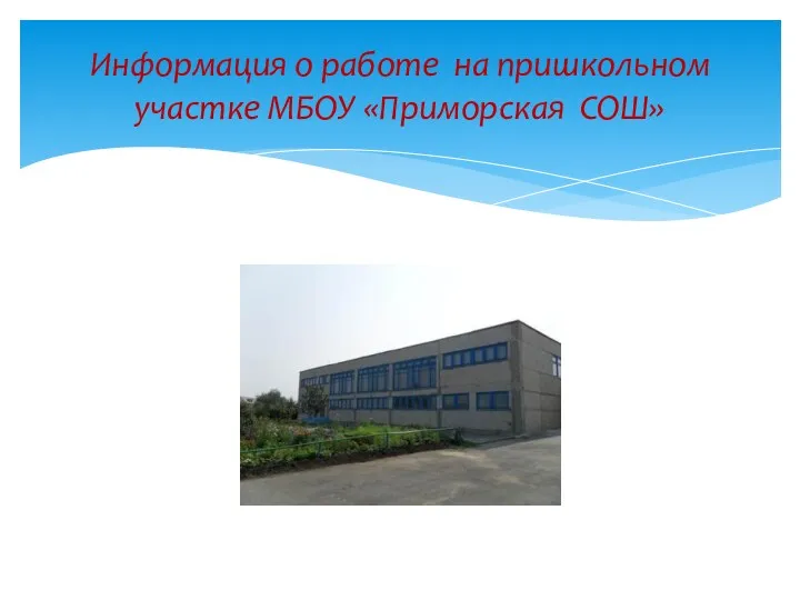 Информация о работе на пришкольном участке МБОУ «Приморская СОШ»