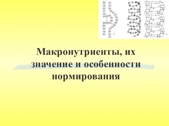 Макронутриенты, их значение и особенности нормирования