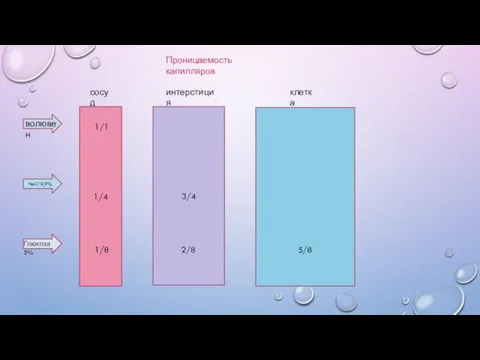 1/4 3/4 NaCl 0,9% Проницаемость капилляров сосуд интерстиция клетка волювен Глюкоза 5% 1/1 1/8 2/8 5/8