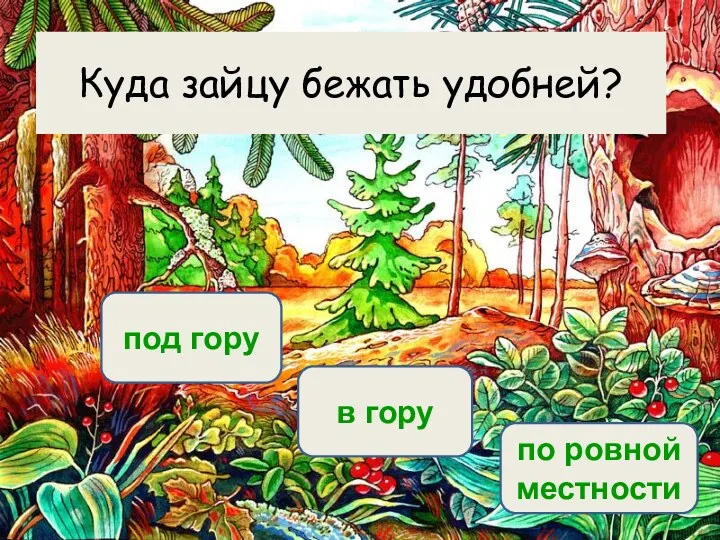 в гору под гору по ровной местности Куда зайцу бежать удобней?