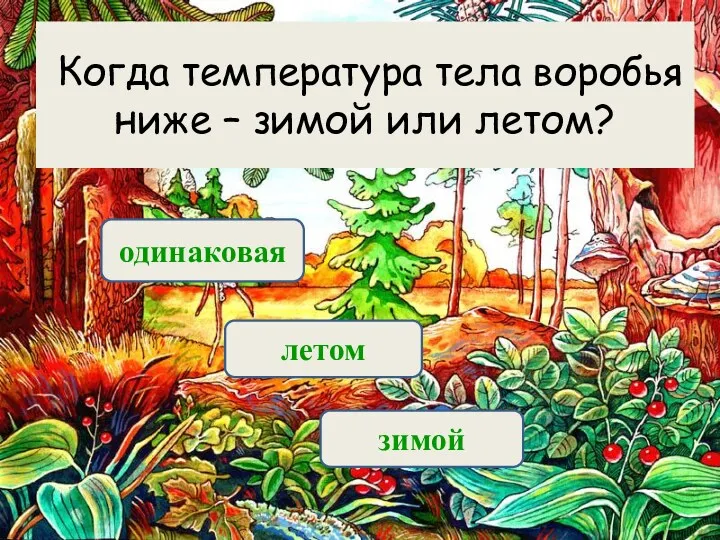 Когда температура тела воробья ниже – зимой или летом? одинаковая летом зимой