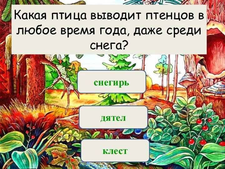 Вариант 1 (уровень 1) дятел снегирь клест Какая птица выводит