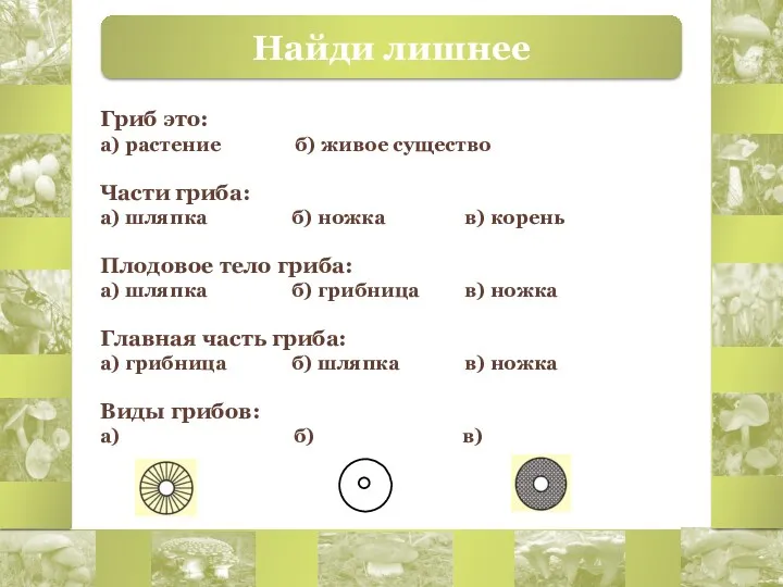 Найди лишнее Гриб это: а) растение б) живое существо Части гриба: а) шляпка