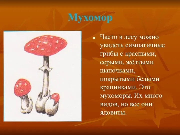 Мухомор Часто в лесу можно увидеть симпатичные грибы с красными, серыми, жёлтыми шапочками,