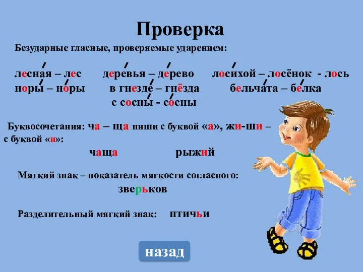 Проверка назад Безударные гласные, проверяемые ударением: лесная – лес деревья