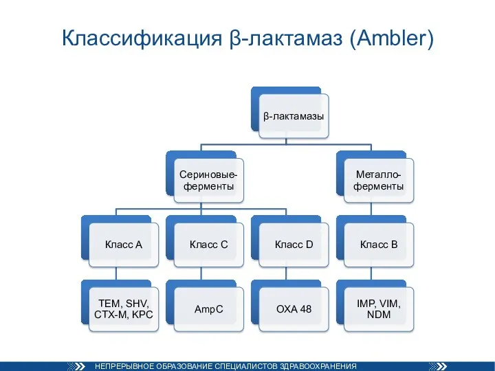 Классификация β-лактамаз (Ambler)