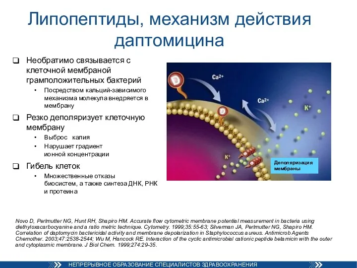 Липопептиды, механизм действия даптомицина Необратимо связывается с клеточной мембраной грамположительных