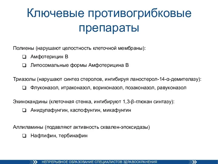 Ключевые противогрибковые препараты Полиены (нарушают целостность клеточной мембраны): Амфотерицин В