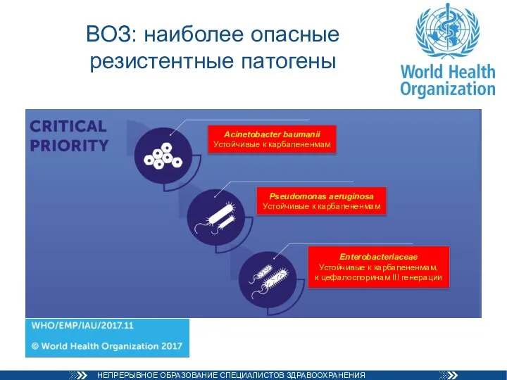 ВОЗ: наиболее опасные резистентные патогены Acinetobacter baumanii Устойчивые к карбапененмам