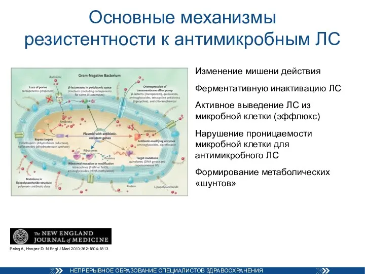 Основные механизмы резистентности к антимикробным ЛС Изменение мишени действия Ферментативную