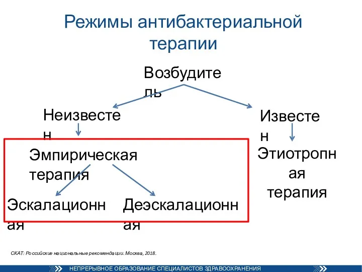 Режимы антибактериальной терапии Возбудитель Известен Неизвестен Эмпирическая терапия Этиотропная терапия