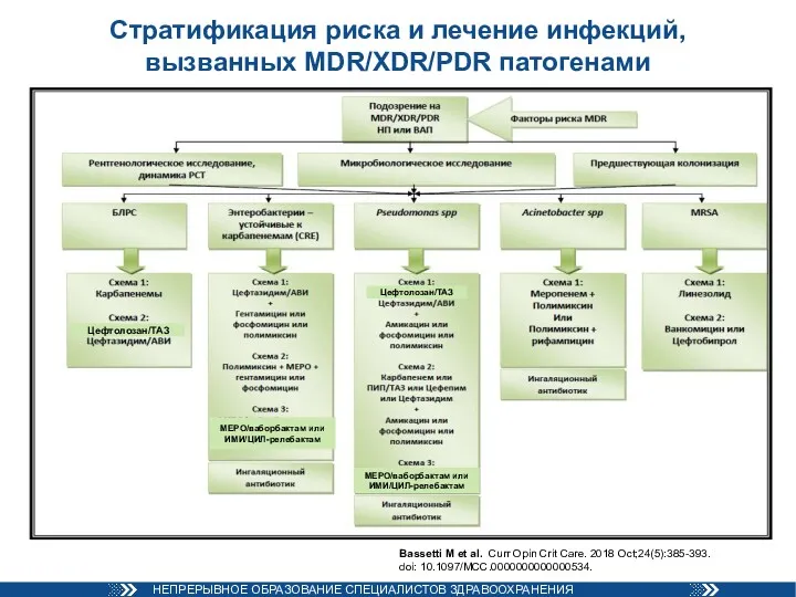 Стратификация риска и лечение инфекций, вызванных MDR/XDR/PDR патогенами Bassetti M