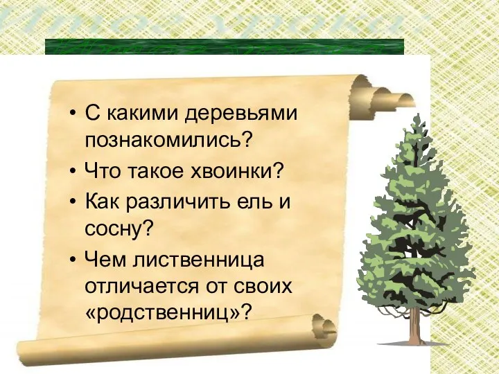 Итог урока: С какими деревьями познакомились? Что такое хвоинки? Как