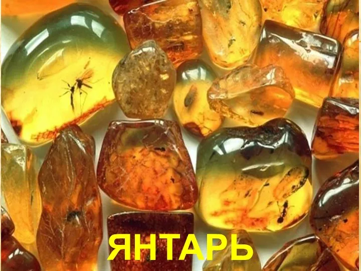 Янтарь