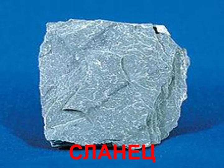 Сланец