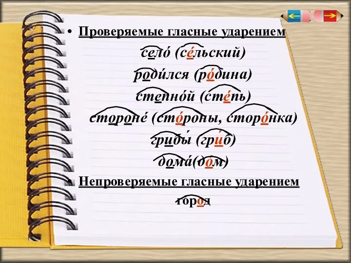 Проверяемые гласные ударением селó (сéльский) родúлся (рóдина) степнóй (стéпь) сторонé