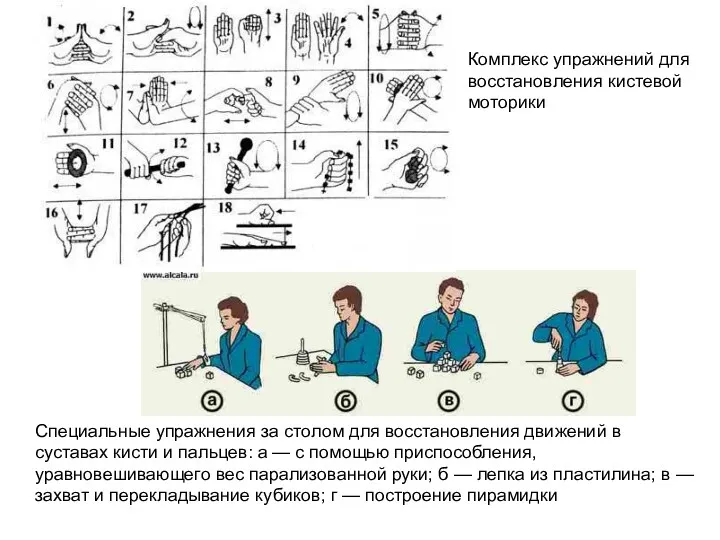 Специальные упражнения за столом для восстановления движений в суставах кисти и пальцев: а