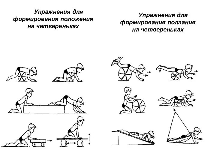 Упражнения для формирования положения на четвереньках Упражнения для формирования ползания на четвереньках