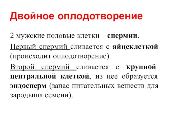 Двойное оплодотворение 2 мужские половые клетки – спермии. Первый спермий