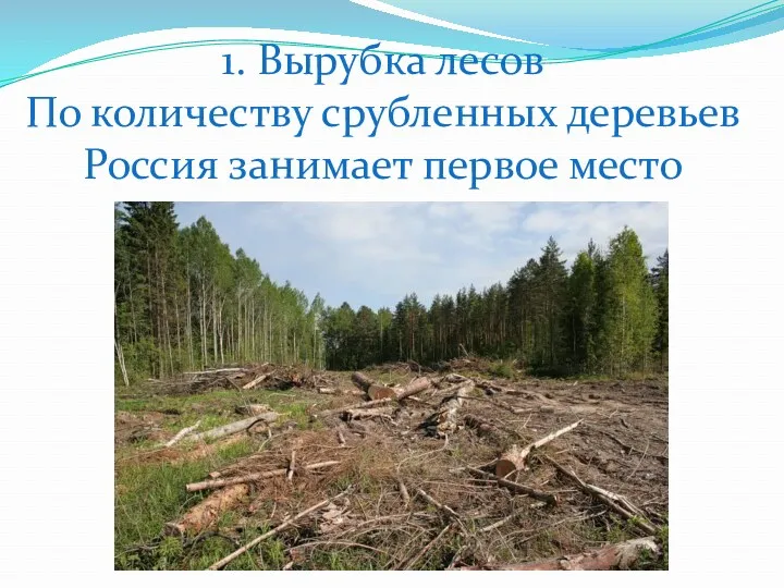 1. Вырубка лесов По количеству срубленных деревьев Россия занимает первое место
