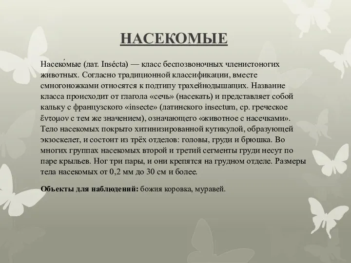 НАСЕКОМЫЕ Насеко́мые (лат. Insécta) — класс беспозвоночных членистоногих животных. Согласно