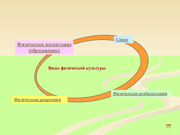 Виды физической культуры Физическая реабилитация Физическая рекреация Спорт Физическое воспитание (образование)