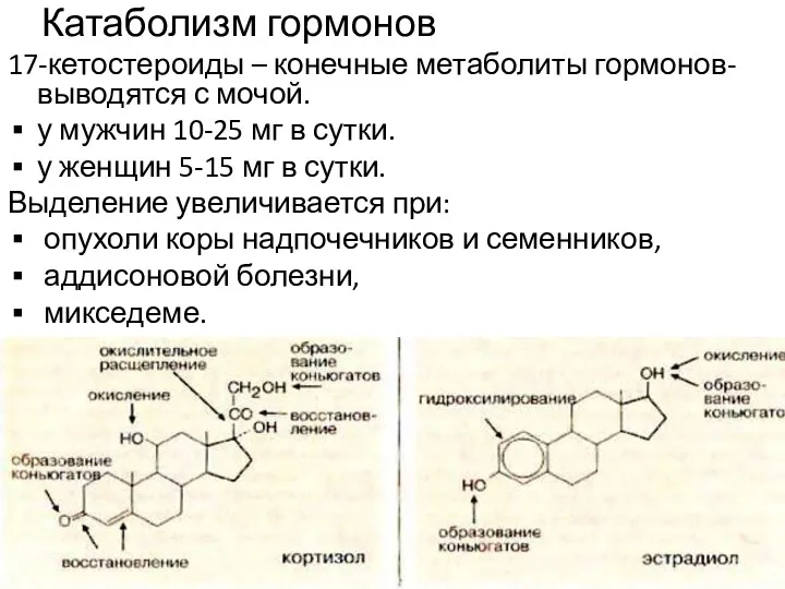 Катаболизм гормонов 17-кетостероиды – конечные метаболиты гормонов- выводятся с мочой.