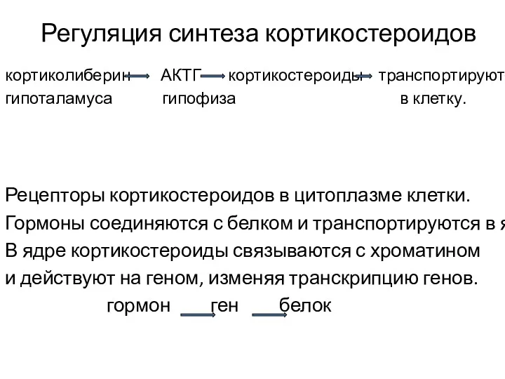 Регуляция синтеза кортикостероидов кортиколиберин АКТГ кортикостероиды транспортируются гипоталамуса гипофиза в