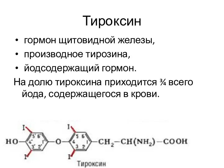 Тироксин гормон щитовидной железы, производное тирозина, йодсодержащий гормон. На долю