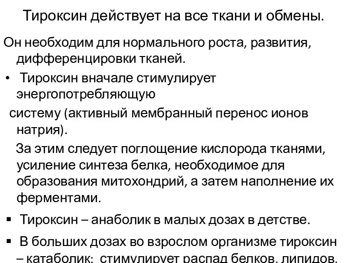 Тироксин действует на все ткани и обмены. Он необходим для