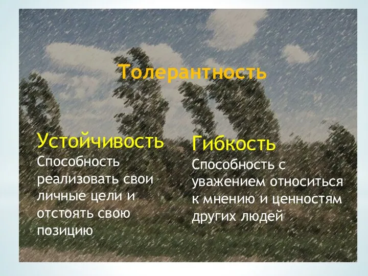 Гибкость Способность с уважением относиться к мнению и ценностям других людей Устойчивость Способность