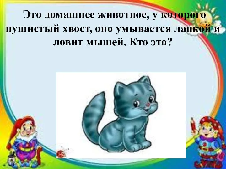 Это домашнее животное, у которого пушистый хвост, оно умывается лапкой и ловит мышей. Кто это?