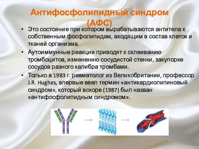 Антифосфолипидный синдром (АФС) Это состояние при котором вырабатываются антитела к