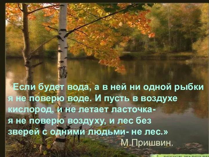 «Если будет вода, а в ней ни одной рыбки я