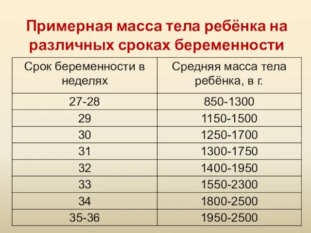 Примерная масса тела ребёнка на различных сроках беременности