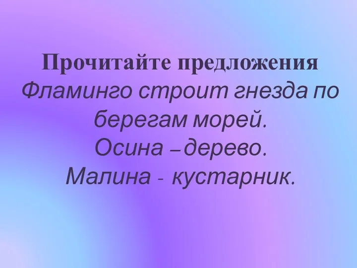 Прочитайте предложения Фламинго строит гнезда по берегам морей. Осина – дерево. Малина - кустарник.