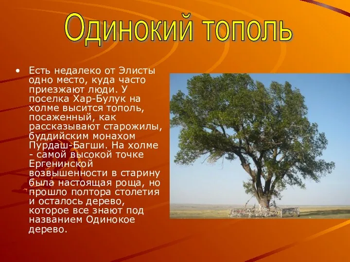 Есть недалеко от Элисты одно место, куда часто приезжают люди. У поселка Хар-Булук