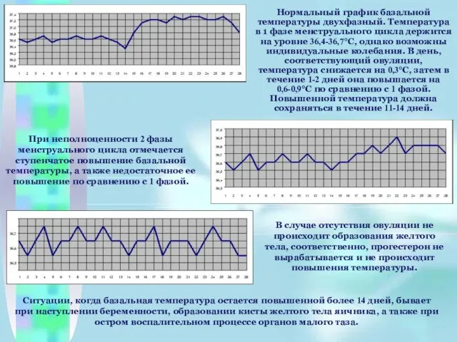 Нормальный график базальной температуры двухфазный. Температура в 1 фазе менструального