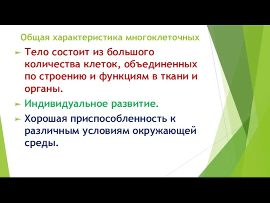 Общая характеристика многоклеточных Тело состоит из большого количества клеток, объединенных