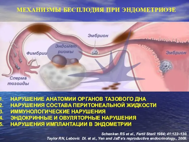 НАРУШЕНИЕ АНАТОМИИ ОРГАНОВ ТАЗОВОГО ДНА НАРУШЕНИЯ СОСТАВА ПЕРИТОНЕАЛЬНОЙ ЖИДКОСТИ ИММУНОЛОГИЧЕСКИЕ