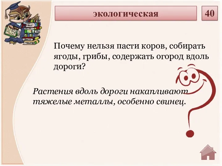 Растения вдоль дороги накапливают тяжелые металлы, особенно свинец. Почему нельзя